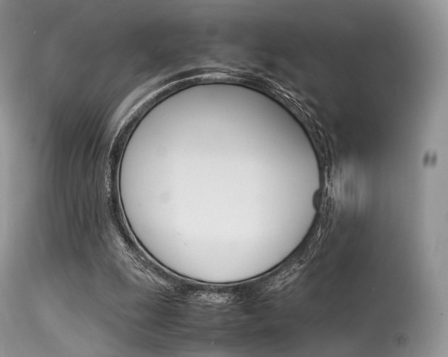 X0000113620247200909181123