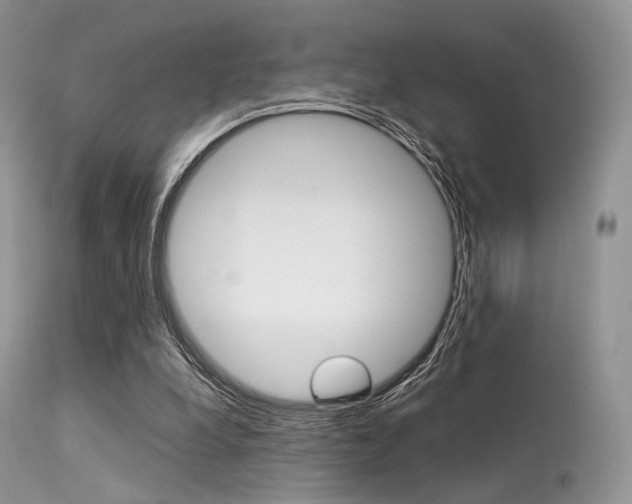 X0000113620248200909181123