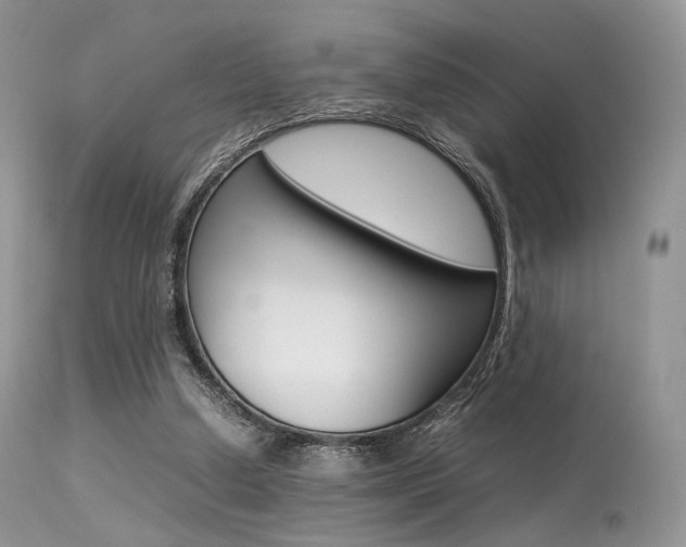 X0000113620250200909181123