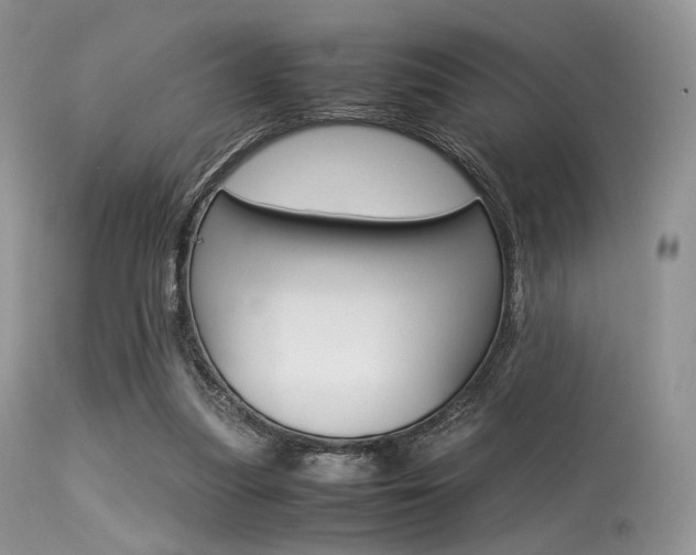 X0000113620251200909181123