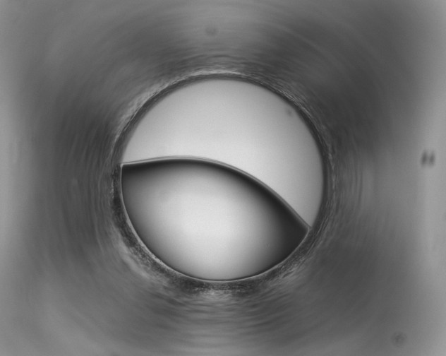 X0000113620252200909181123