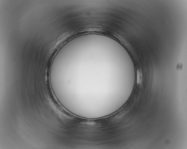 X0000113620253200909181123