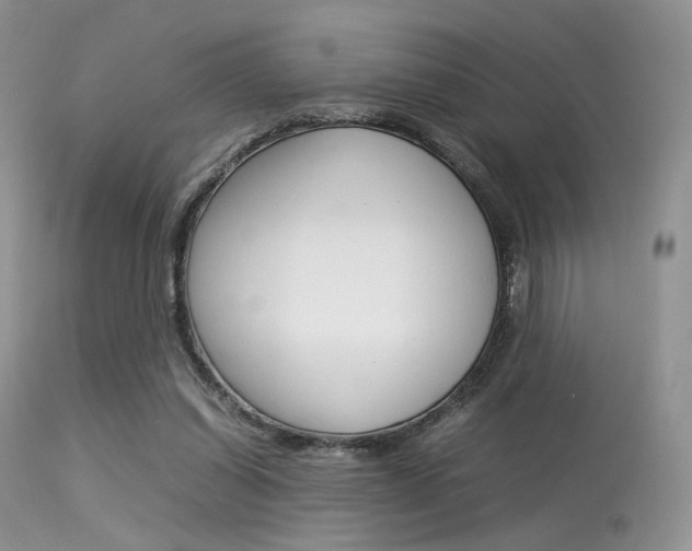 X0000113620254200909181123