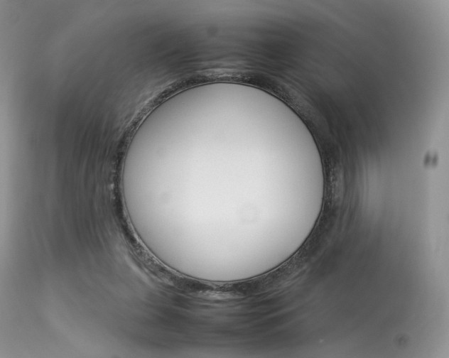 X0000113620255200909181123