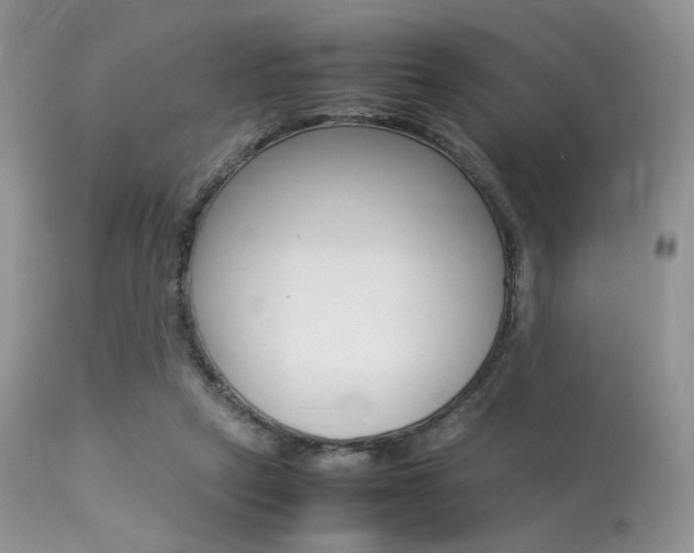 X0000113620257200909181123