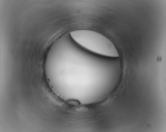 X0000113620258200909181123