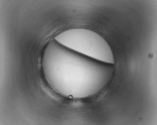 X0000113620262200909181123