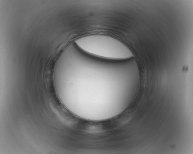 X0000113620263200909181123