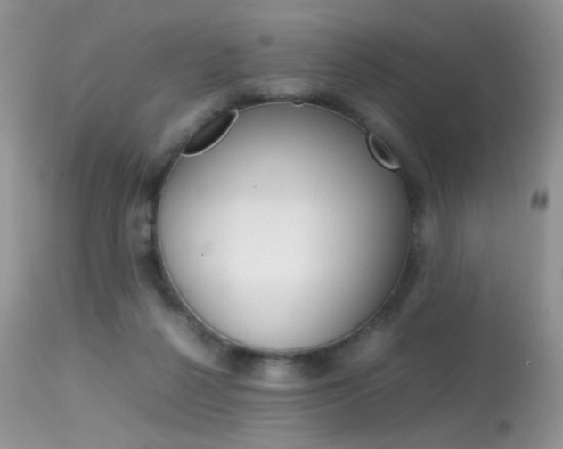 X0000113620264200909181123