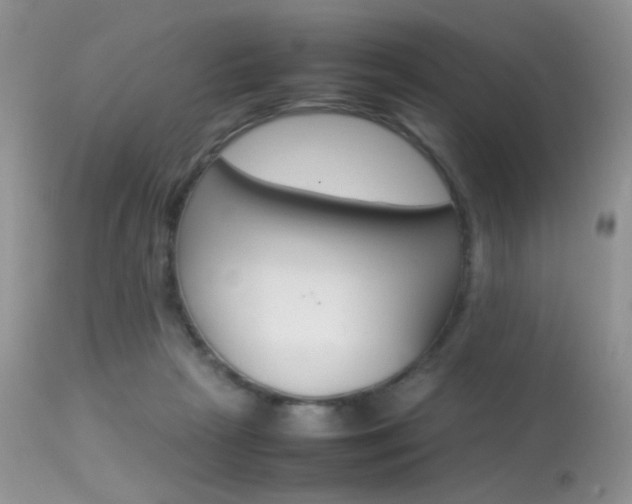 X0000113620265200909181123