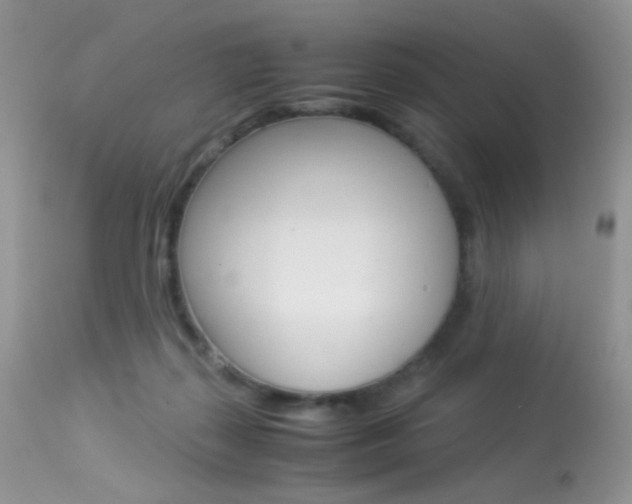 X0000113620267200909181123