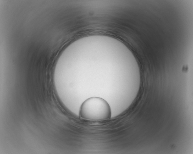 X0000113620268200909181123