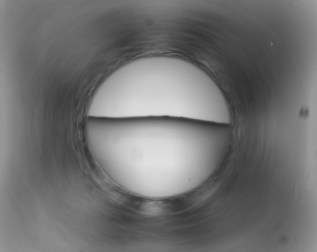 X0000113620269200909181123