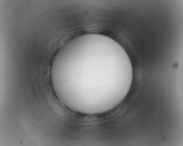 X0000113620271200909181123