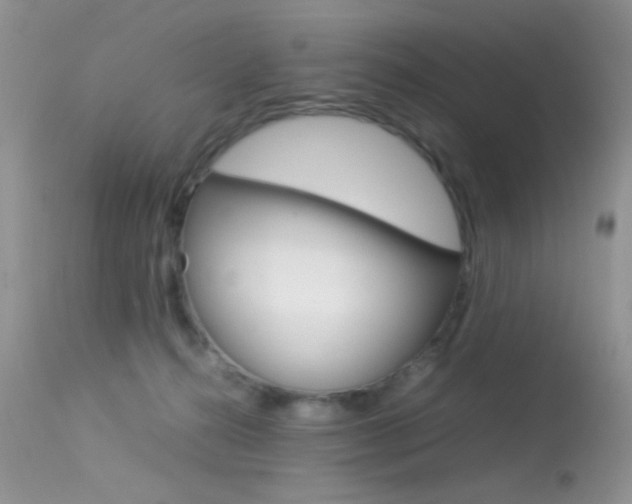 X0000113620272200909181123