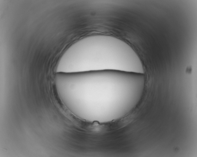 X0000113620273200909181123