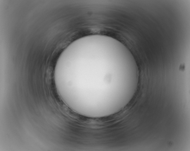 X0000113620275200909181123