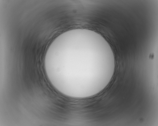 X0000113620276200909181123