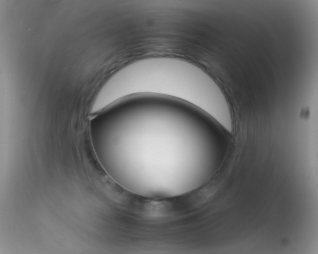 X0000113620277200909181123