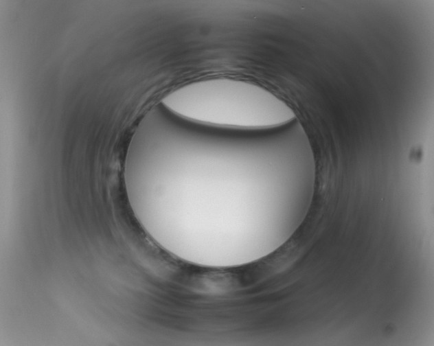 X0000113620279200909181123