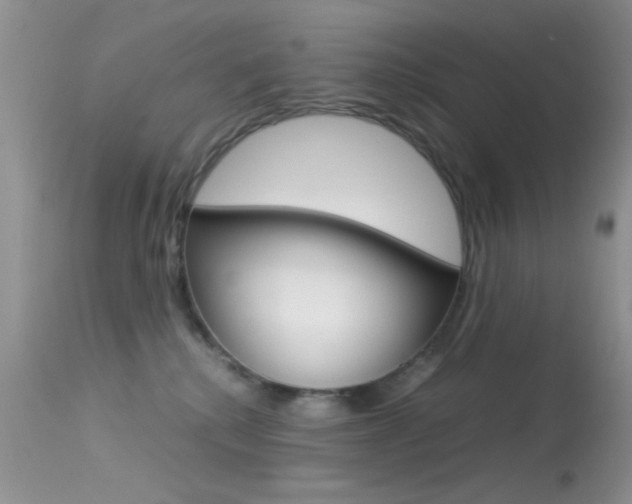 X0000113620280200909181123