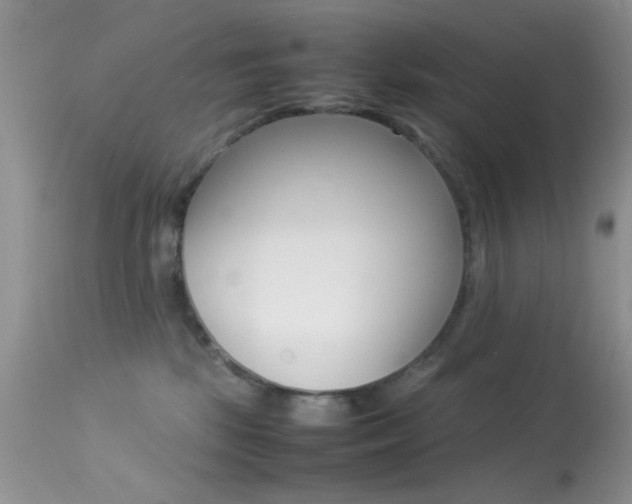 X0000113620281200909181123