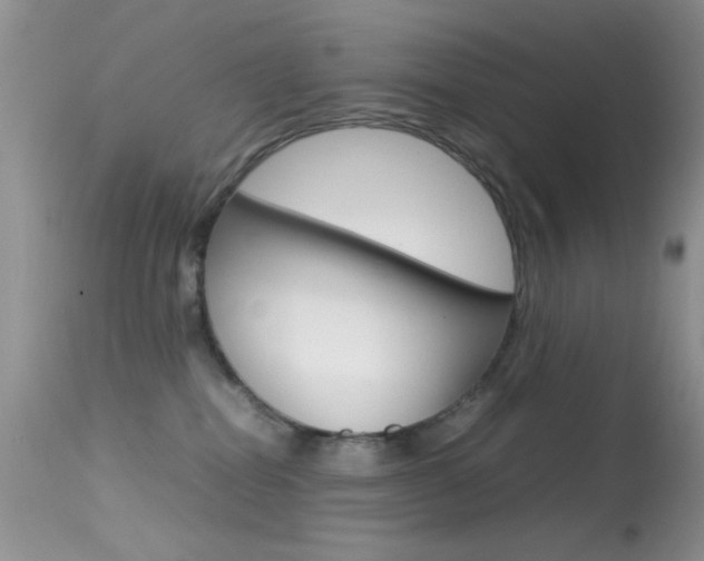 X0000113620282200909181123