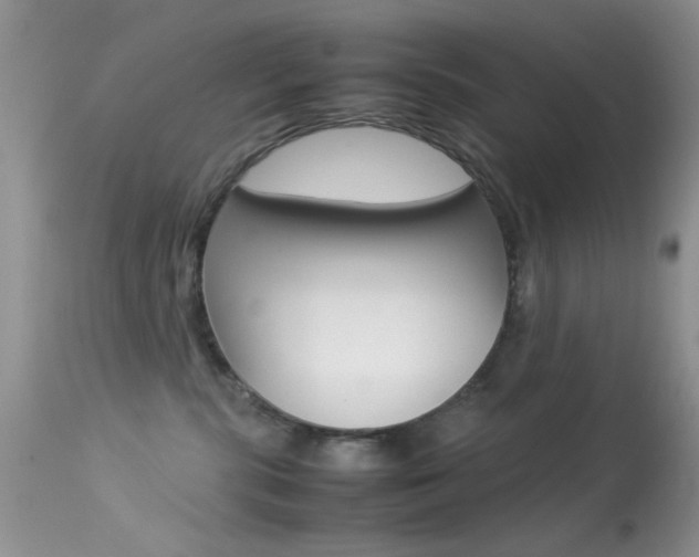 X0000113620283200909181123