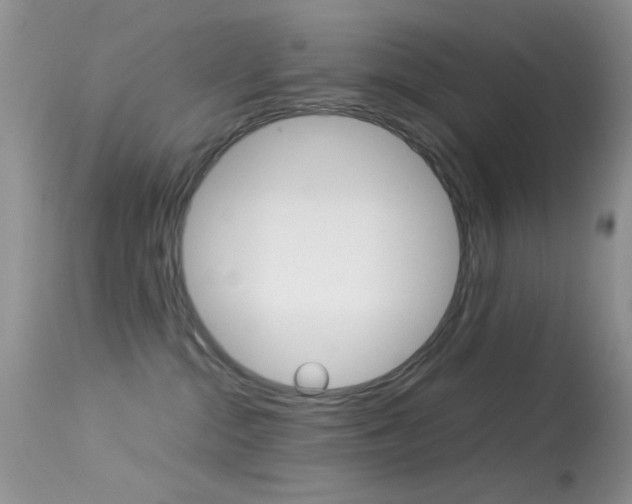 X0000113620284200909181123