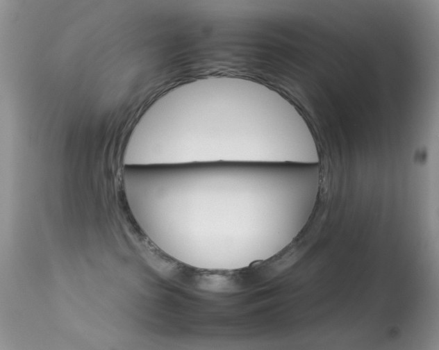 X0000113620285200909181123