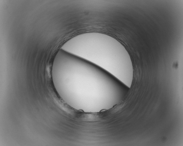 X0000113620286200909181123