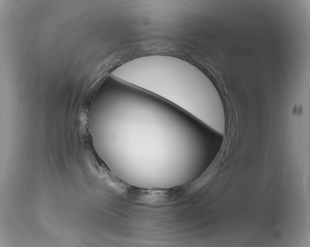 X0000113620288200909181123