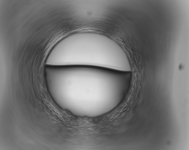 X0000113620289200909181123