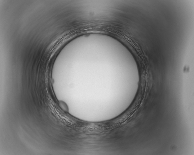 X0000113620290200909181122