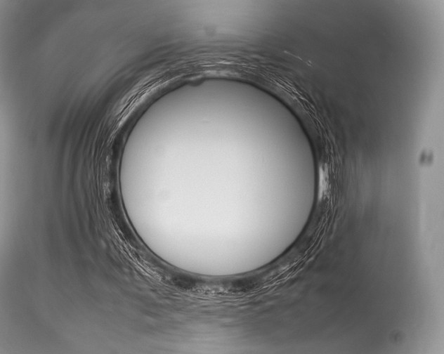 X0000113620291200909181122