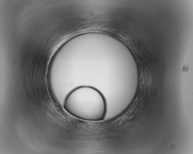 X0000113620292200909181122