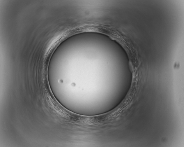 X0000113620293200909181122