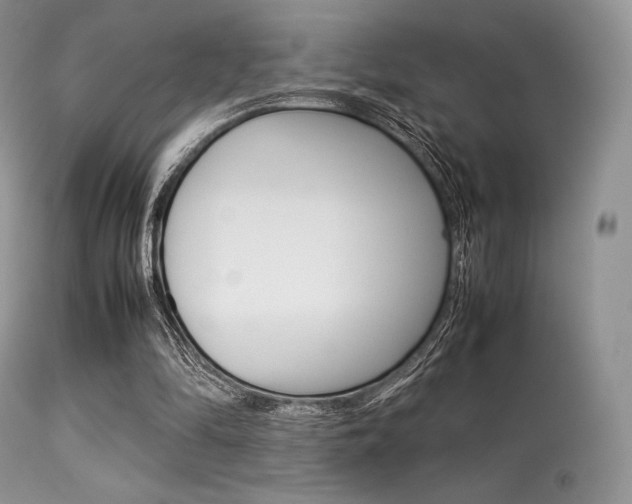 X0000113620294200909181122