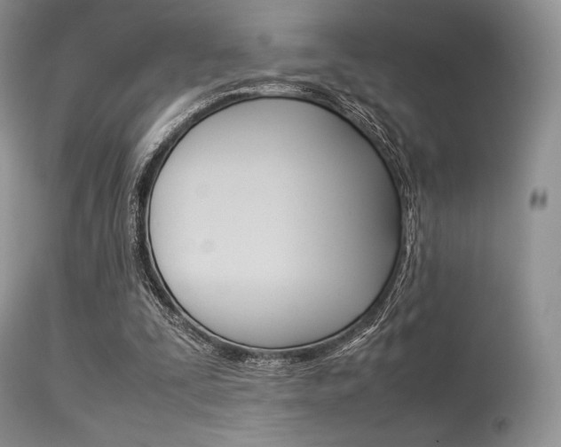 X0000113620295200909181122