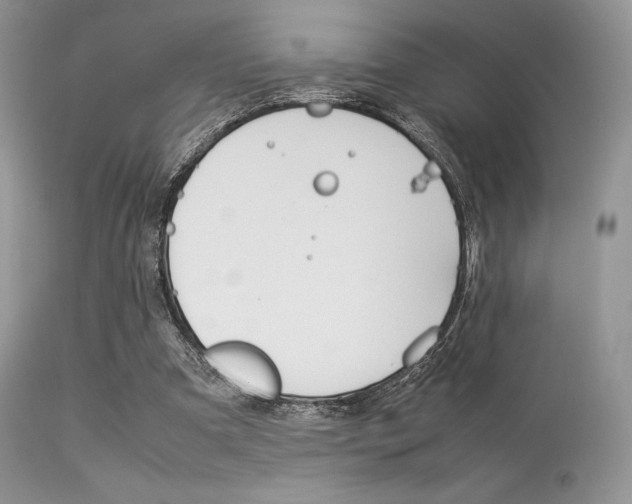 X0000113620297200909181122