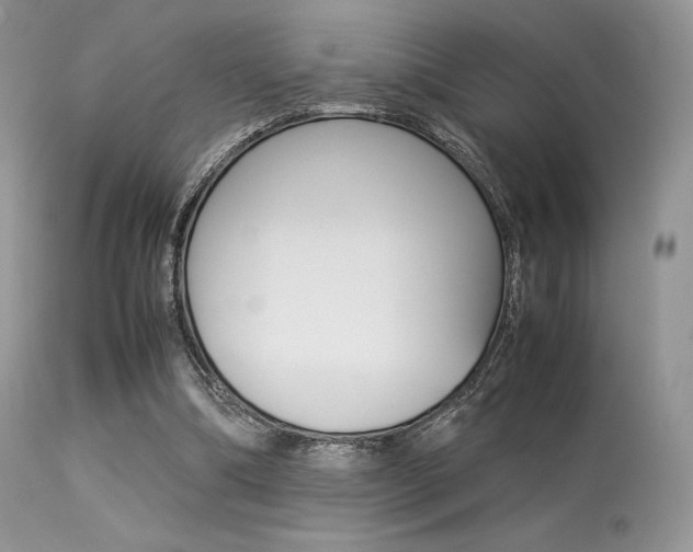 X0000113620298200909181122