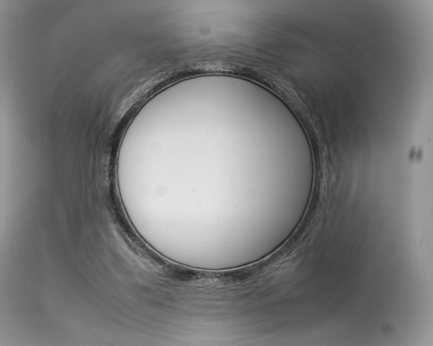 X0000113620299200909181122