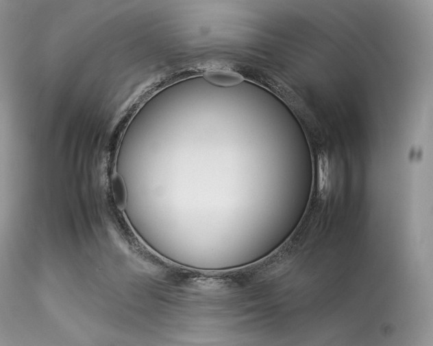 X0000113620300200909181122