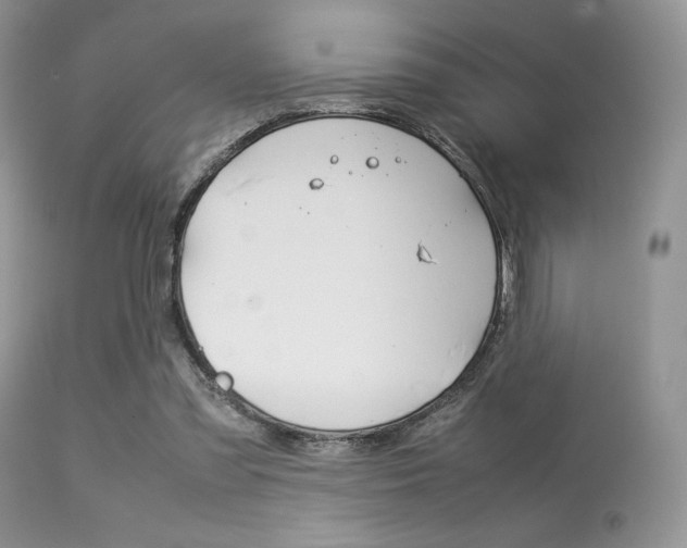 X0000113620301200909181122