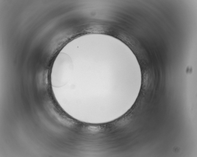 X0000113620302200909181122