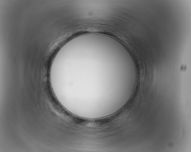 X0000113620303200909181122