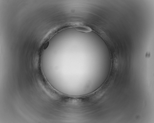 X0000113620304200909181122