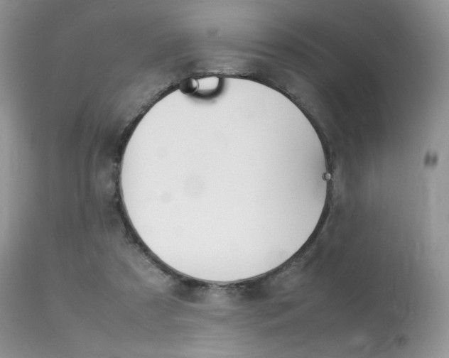 X0000113620305200909181122