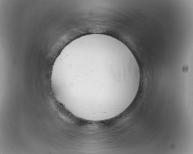 X0000113620307200909181122