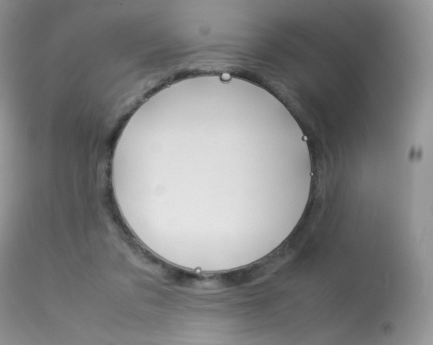 X0000113620309200909181122